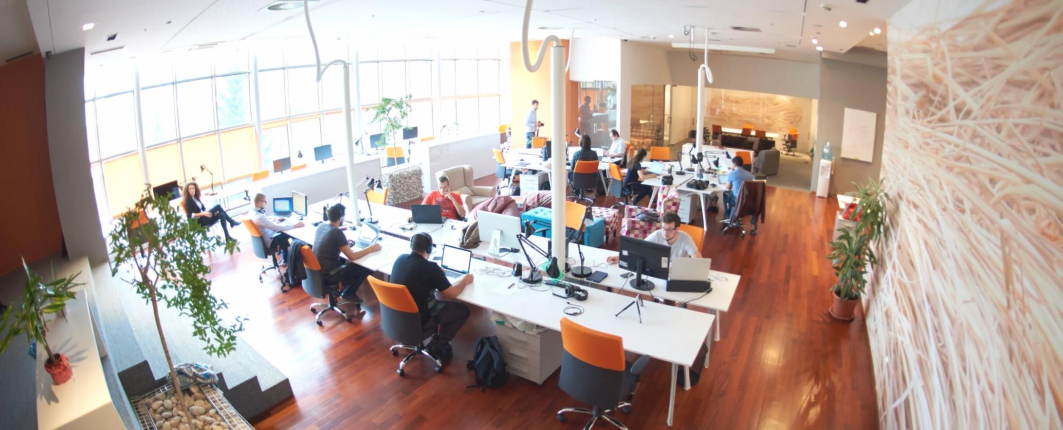 Détail d'un cours interactif Zenovatrixa